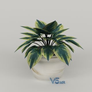 盆栽VR/3D/UE4/Unity模型下载