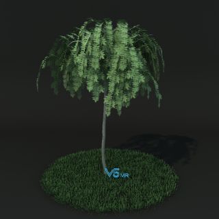 龙爪槐树VR/3D/UE4/Unity模型下载