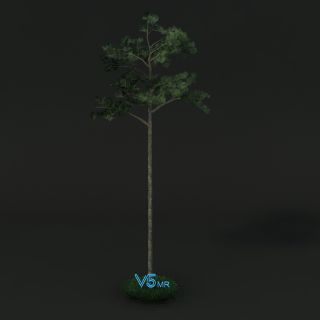 树VR/3D/UE4/Unity模型下载